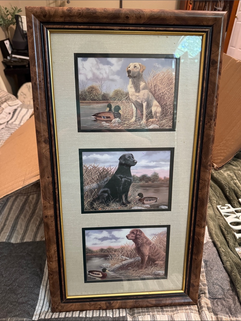 Framed Labrador Trio - Yellow, Black, Brown Labrador Scenes
